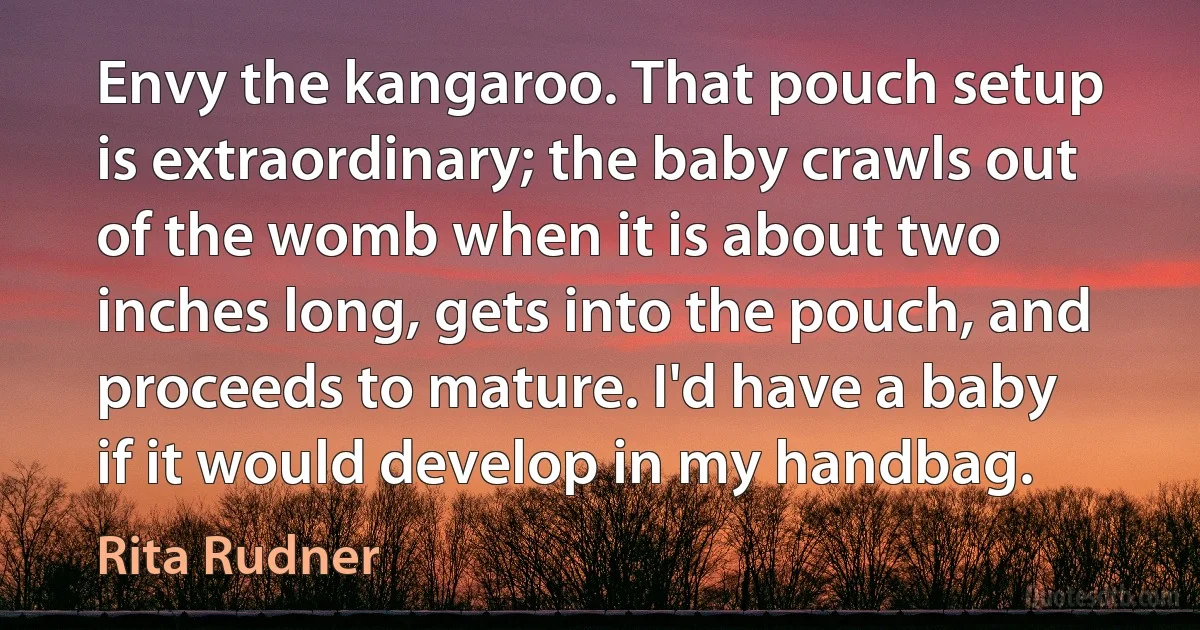 Envy the kangaroo. That pouch setup is extraordinary; the baby crawls out of the womb when it is about two inches long, gets into the pouch, and proceeds to mature. I'd have a baby if it would develop in my handbag. (Rita Rudner)