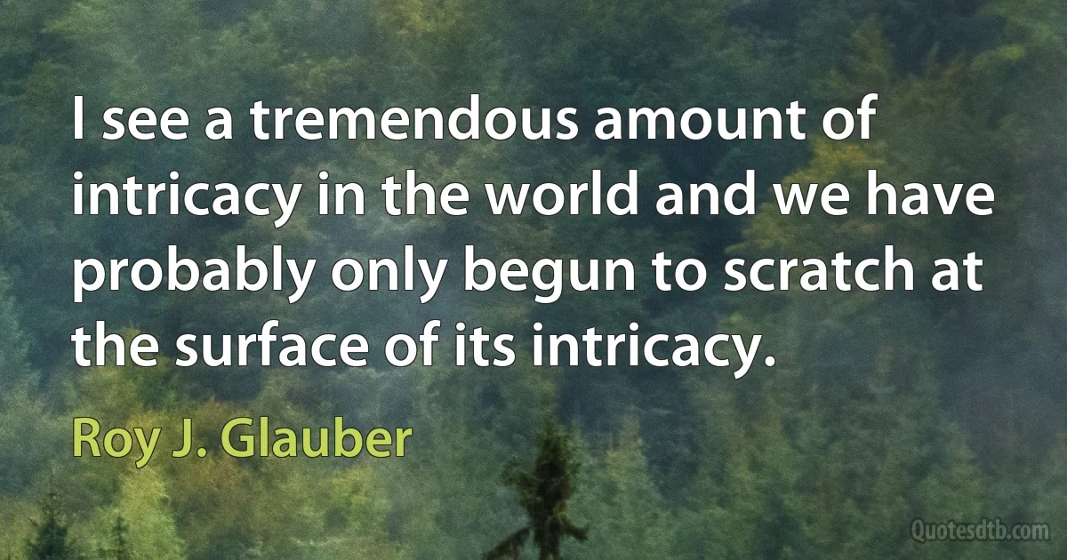 I see a tremendous amount of intricacy in the world and we have probably only begun to scratch at the surface of its intricacy. (Roy J. Glauber)