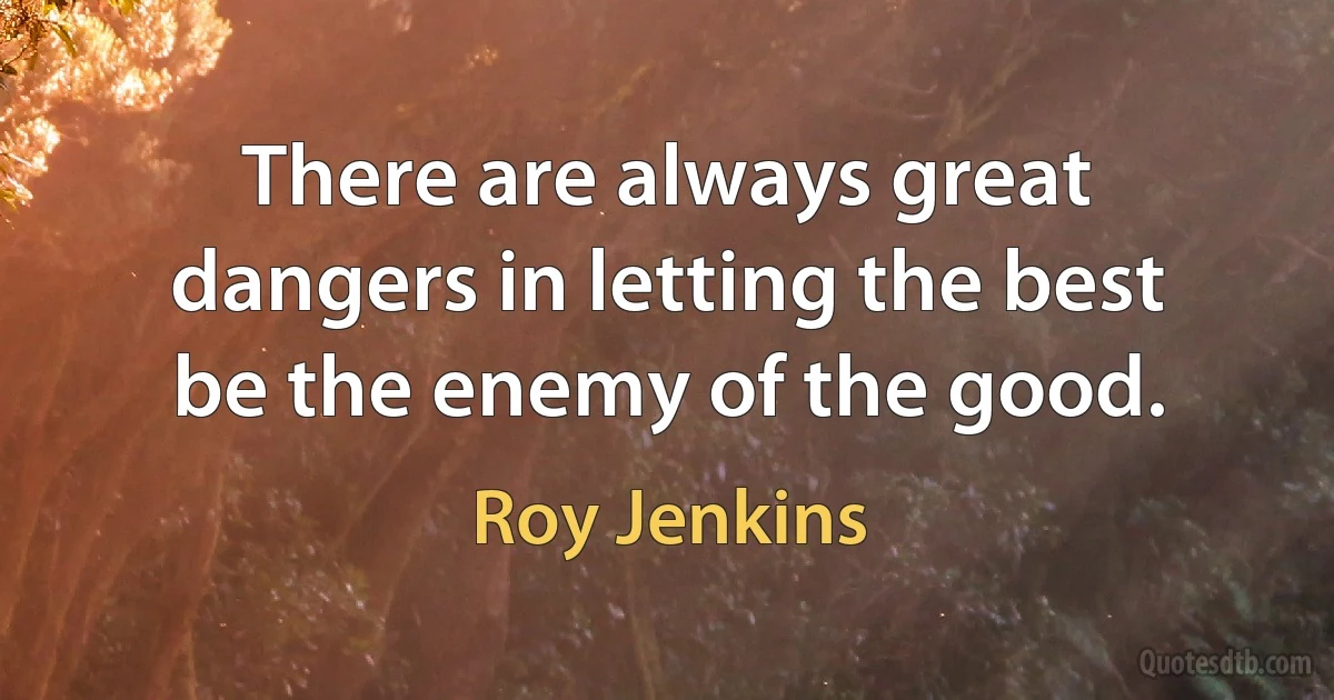 There are always great dangers in letting the best be the enemy of the good. (Roy Jenkins)