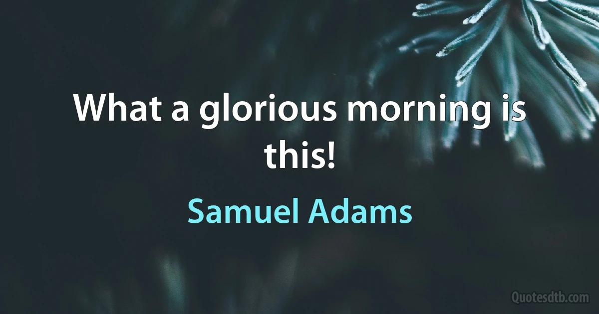 What a glorious morning is this! (Samuel Adams)