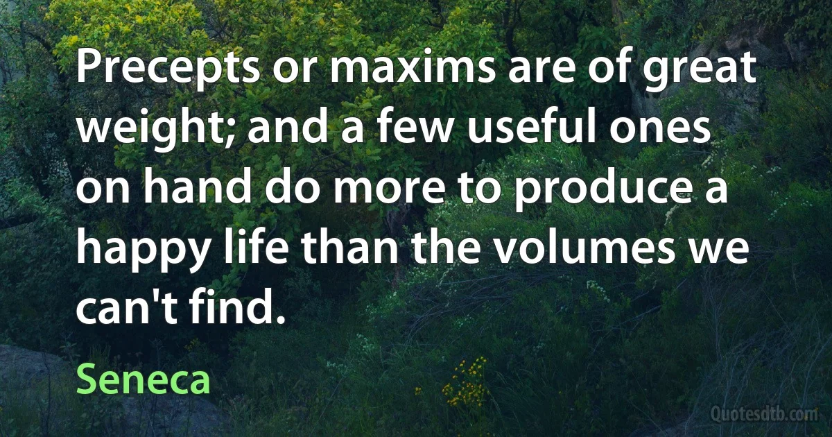 Precepts or maxims are of great weight; and a few useful ones on hand do more to produce a happy life than the volumes we can't find. (Seneca)