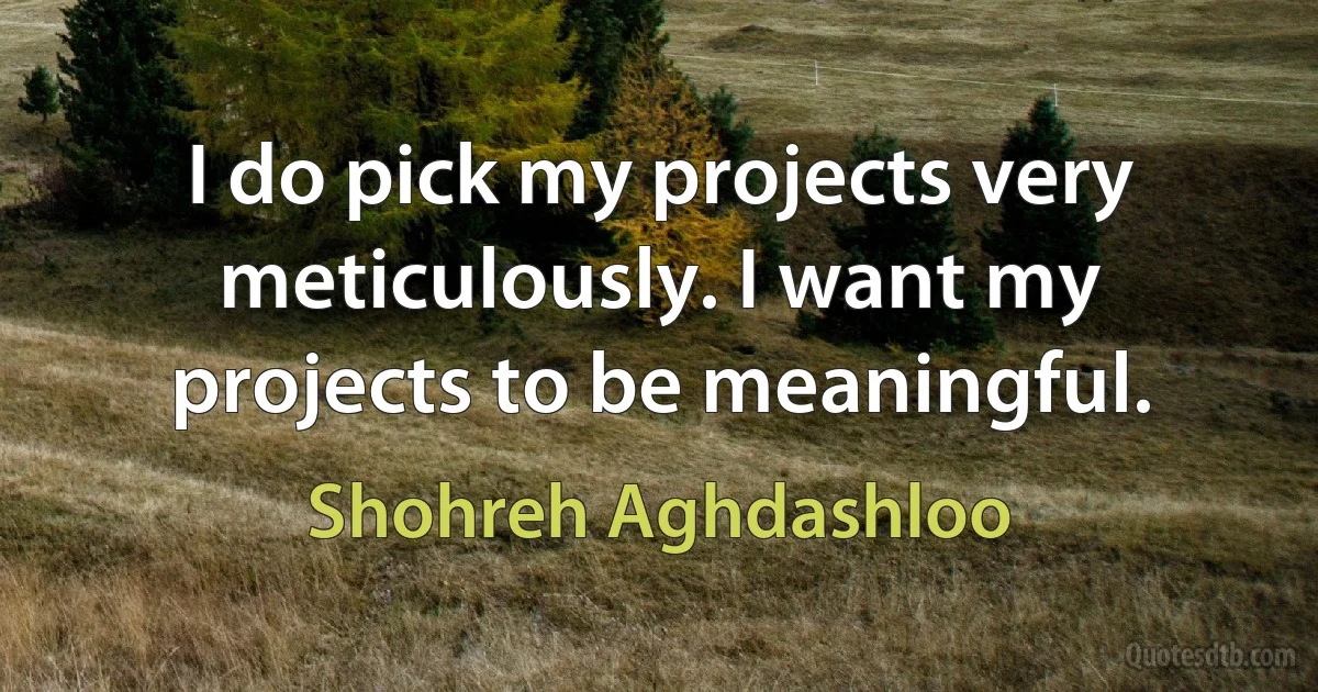 I do pick my projects very meticulously. I want my projects to be meaningful. (Shohreh Aghdashloo)