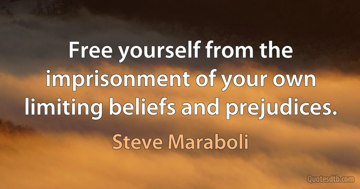 Free yourself from the imprisonment of your own limiting beliefs and prejudices. (Steve Maraboli)