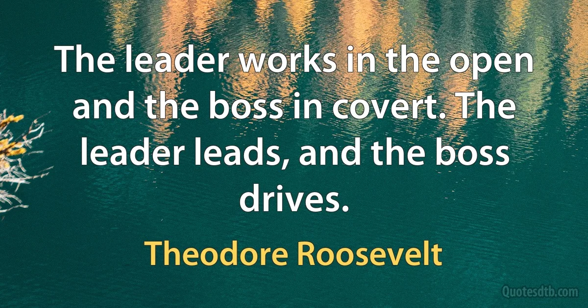 The leader works in the open and the boss in covert. The leader leads, and the boss drives. (Theodore Roosevelt)