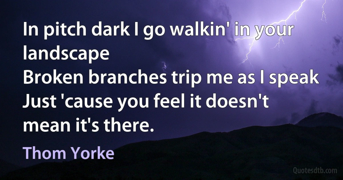 In pitch dark I go walkin' in your landscape
Broken branches trip me as I speak
Just 'cause you feel it doesn't mean it's there. (Thom Yorke)