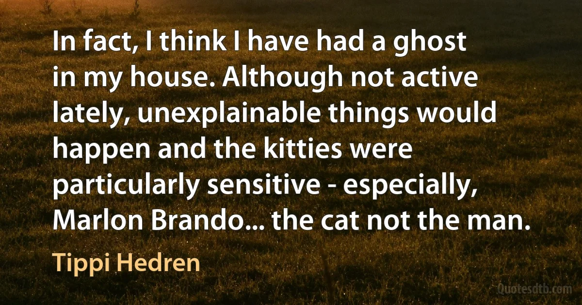 In fact, I think I have had a ghost in my house. Although not active lately, unexplainable things would happen and the kitties were particularly sensitive - especially, Marlon Brando... the cat not the man. (Tippi Hedren)