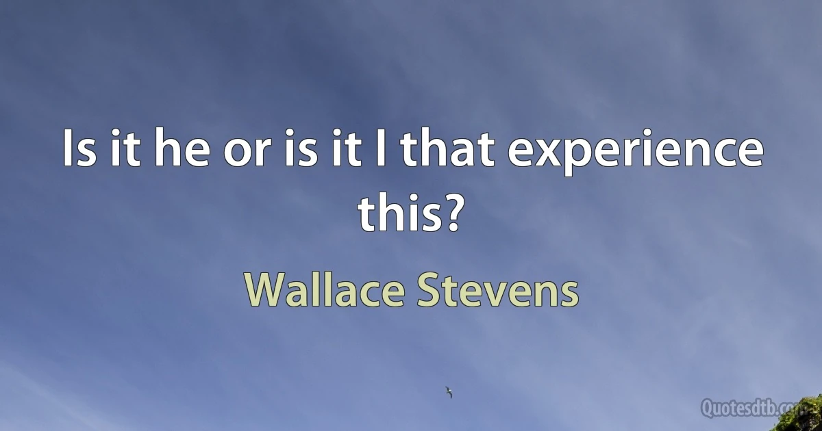 Is it he or is it I that experience this? (Wallace Stevens)