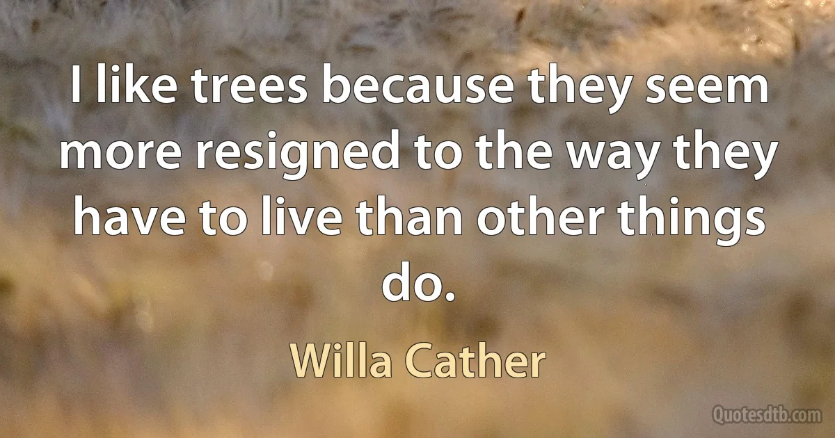 I like trees because they seem more resigned to the way they have to live than other things do. (Willa Cather)