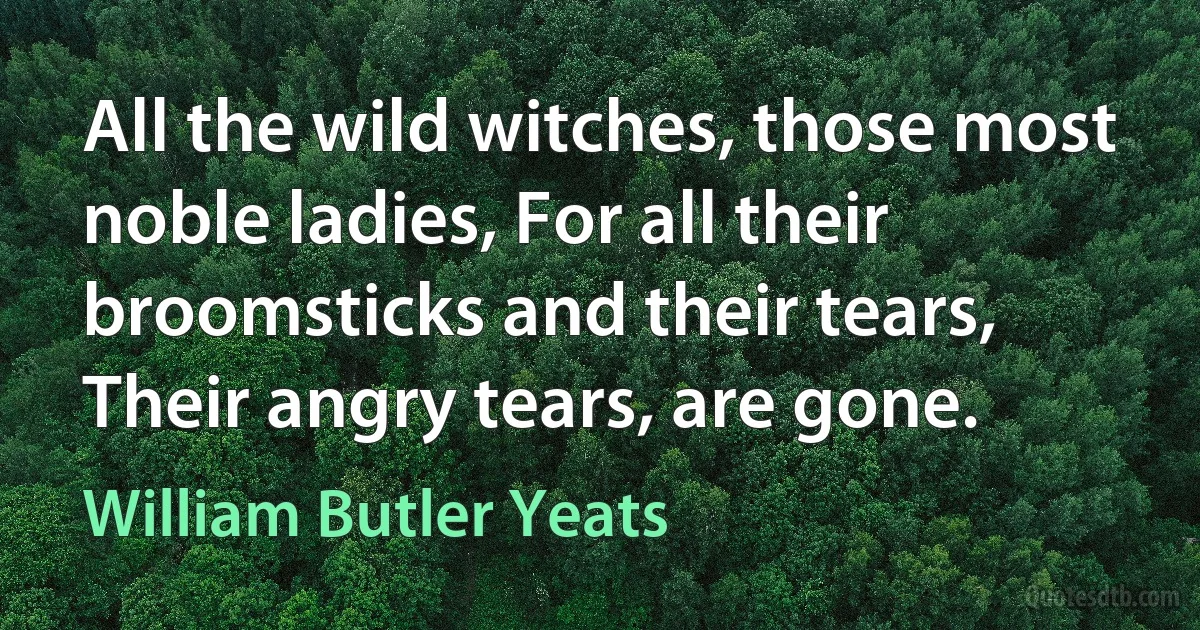 All the wild witches, those most noble ladies, For all their broomsticks and their tears, Their angry tears, are gone. (William Butler Yeats)