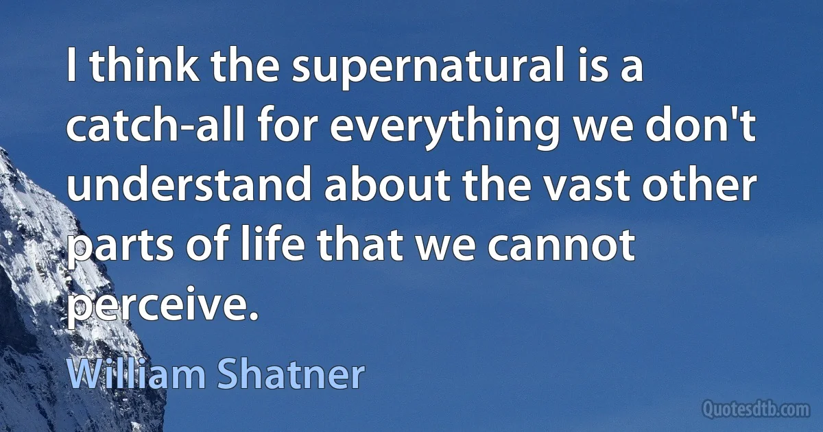 I think the supernatural is a catch-all for everything we don't understand about the vast other parts of life that we cannot perceive. (William Shatner)