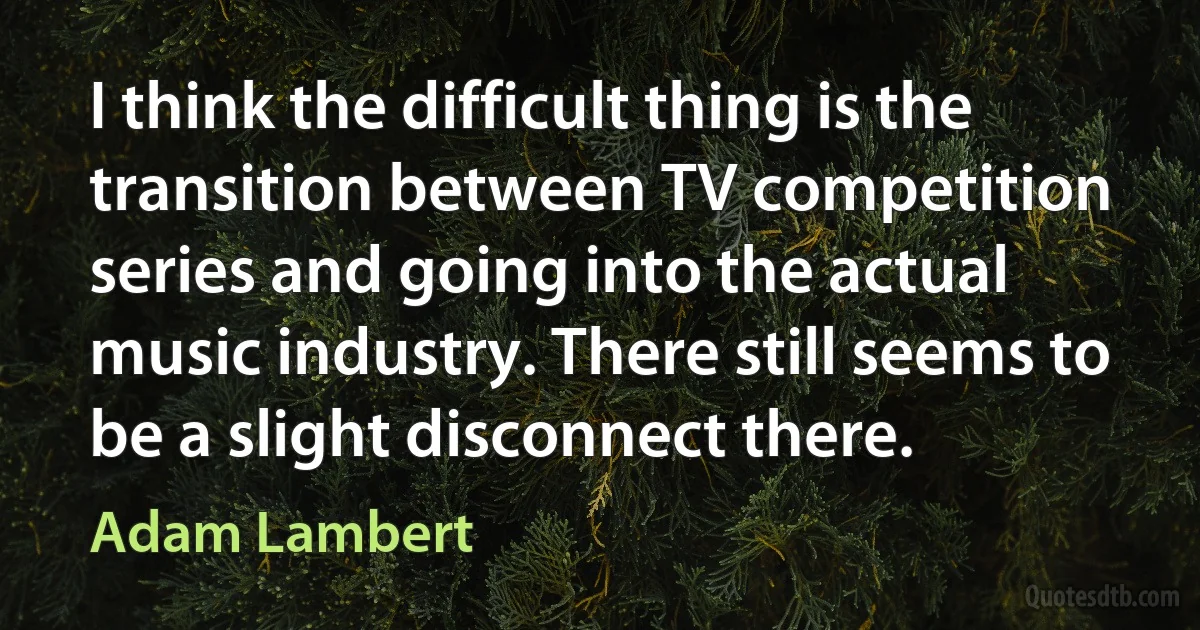 I think the difficult thing is the transition between TV competition series and going into the actual music industry. There still seems to be a slight disconnect there. (Adam Lambert)