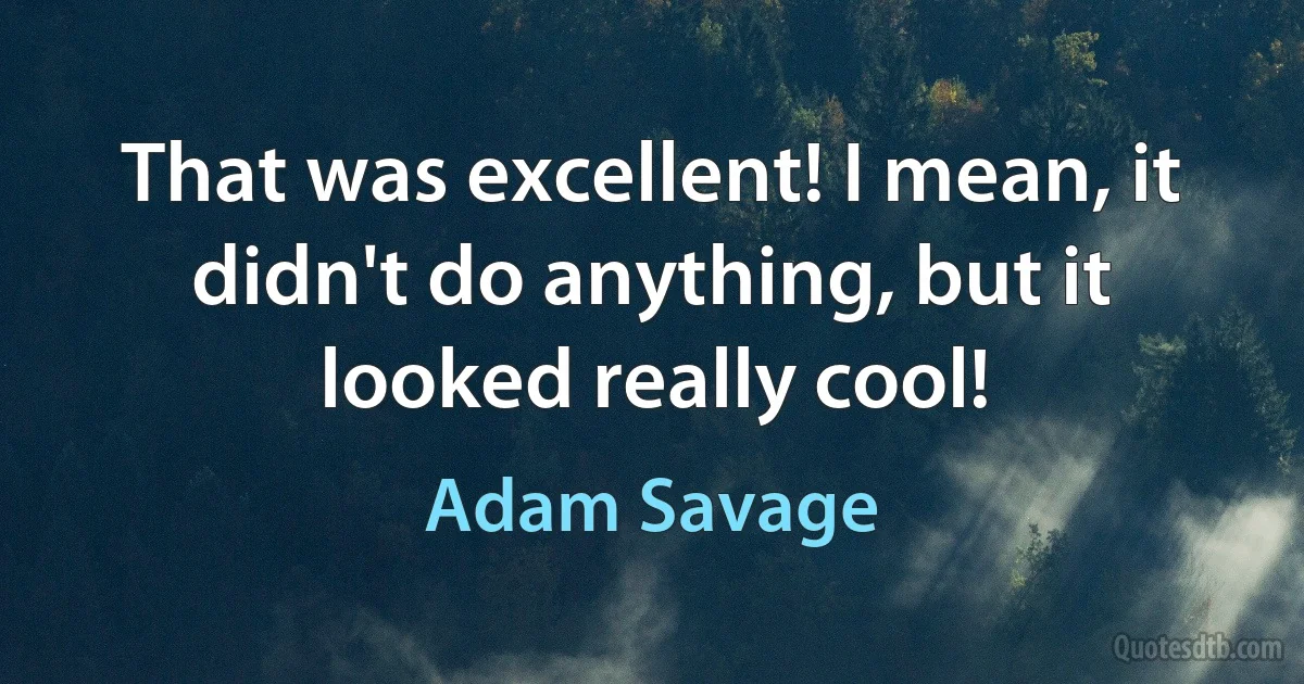 That was excellent! I mean, it didn't do anything, but it looked really cool! (Adam Savage)