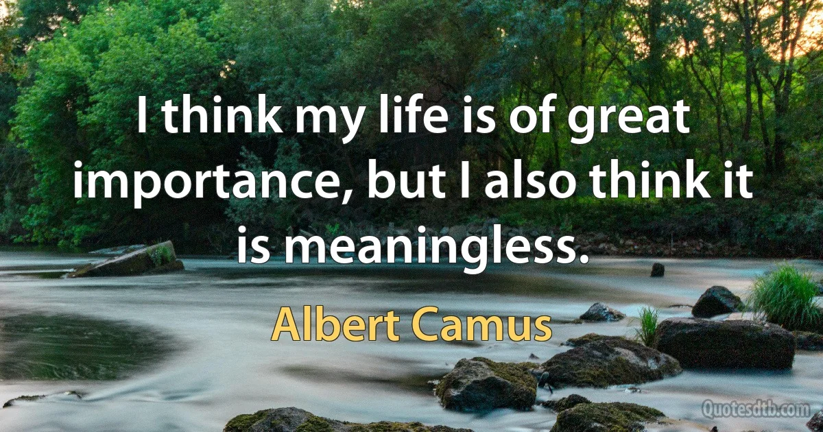 I think my life is of great importance, but I also think it is meaningless. (Albert Camus)