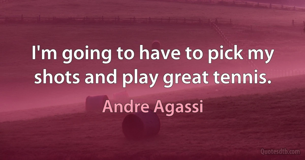 I'm going to have to pick my shots and play great tennis. (Andre Agassi)