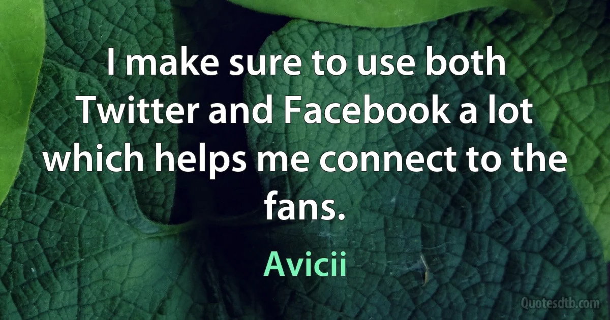 I make sure to use both Twitter and Facebook a lot which helps me connect to the fans. (Avicii)