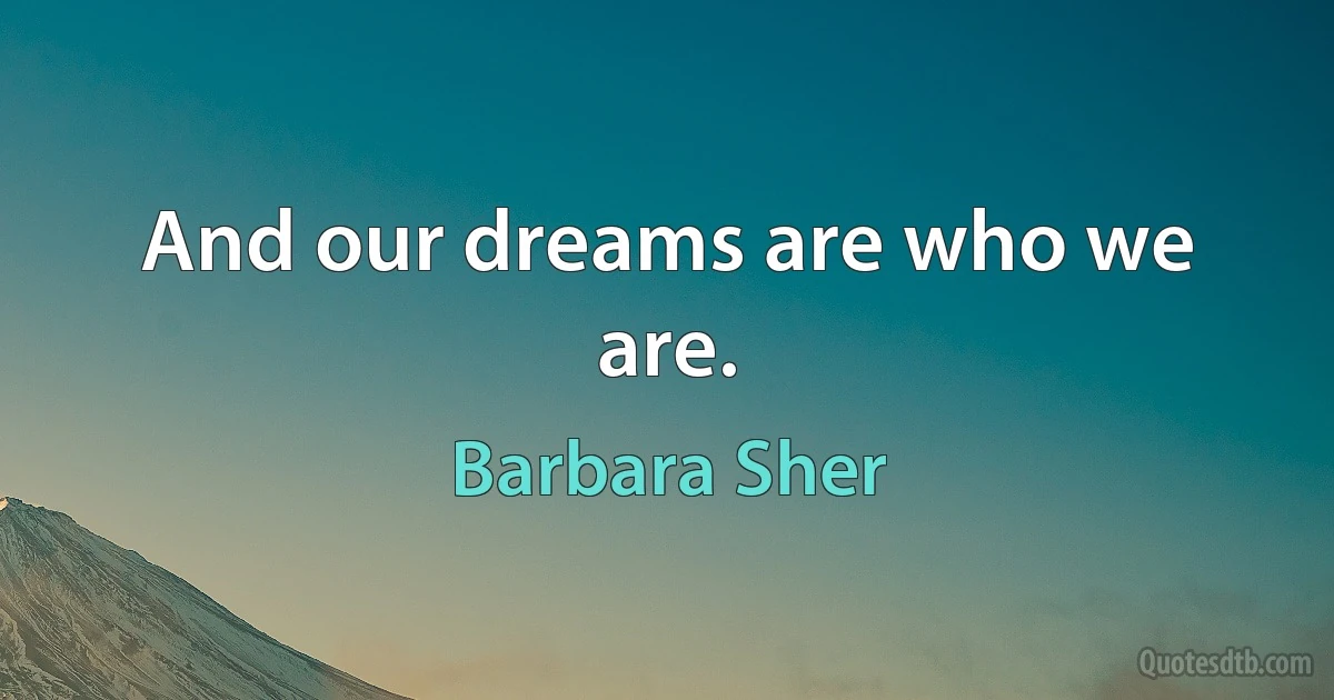 And our dreams are who we are. (Barbara Sher)