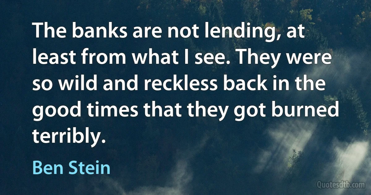 The banks are not lending, at least from what I see. They were so wild and reckless back in the good times that they got burned terribly. (Ben Stein)