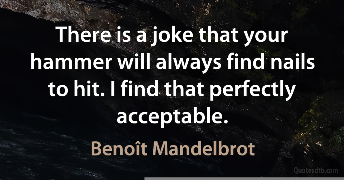 There is a joke that your hammer will always find nails to hit. I find that perfectly acceptable. (Benoît Mandelbrot)