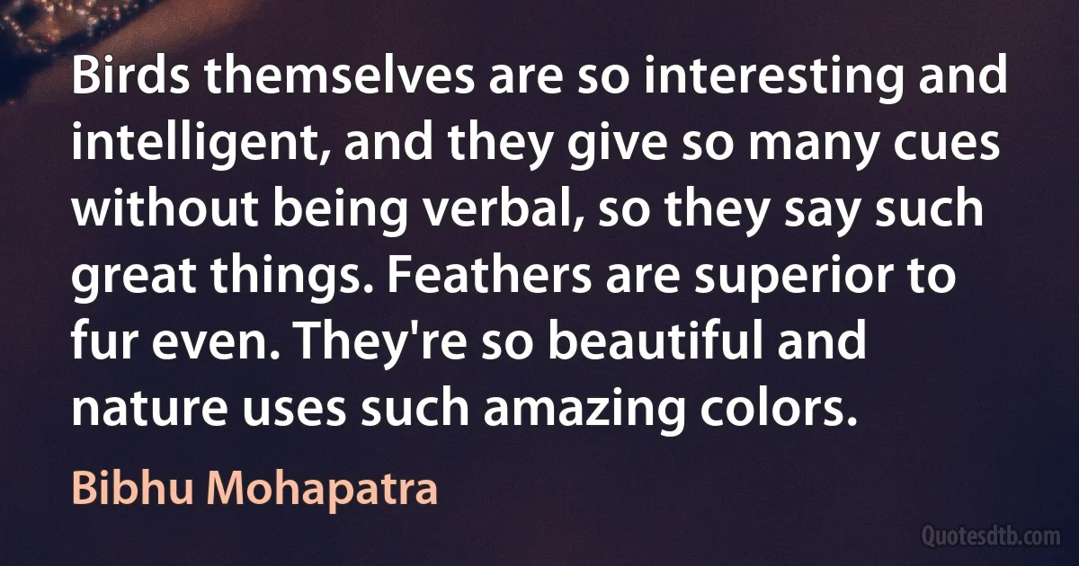 Birds themselves are so interesting and intelligent, and they give so many cues without being verbal, so they say such great things. Feathers are superior to fur even. They're so beautiful and nature uses such amazing colors. (Bibhu Mohapatra)