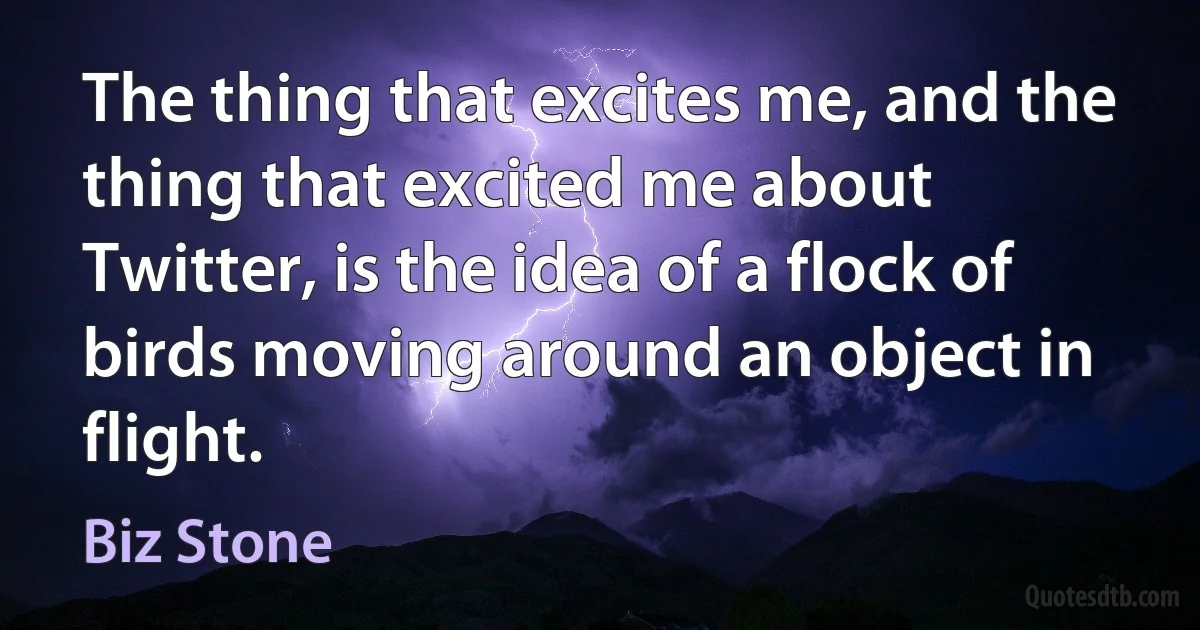 The thing that excites me, and the thing that excited me about Twitter, is the idea of a flock of birds moving around an object in flight. (Biz Stone)