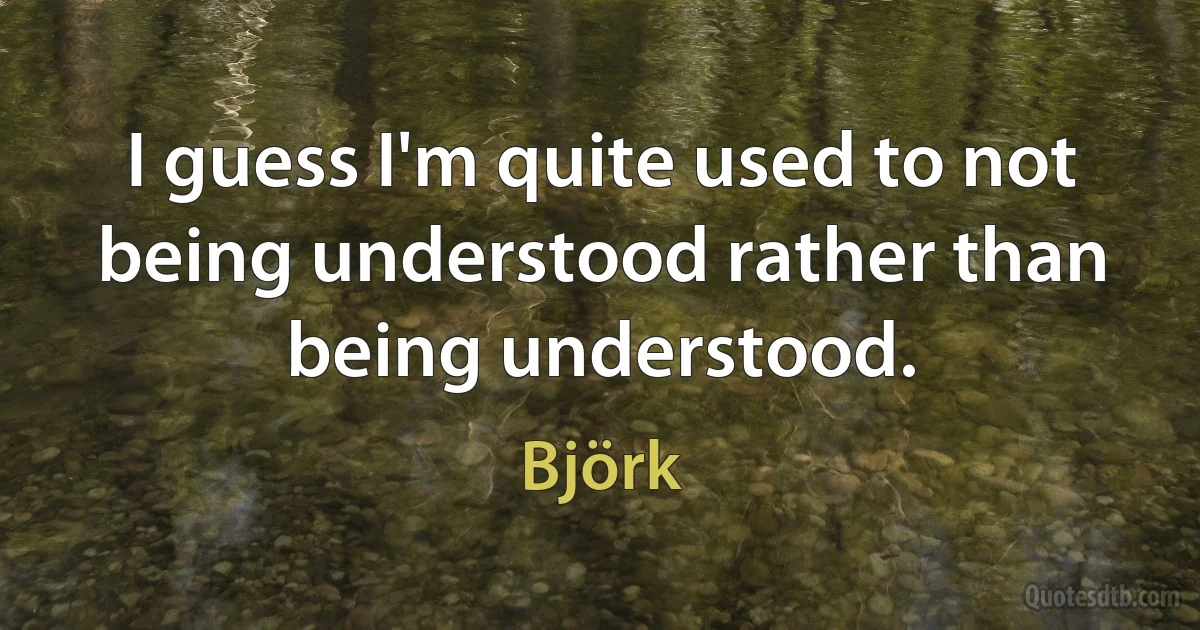 I guess I'm quite used to not being understood rather than being understood. (Björk)