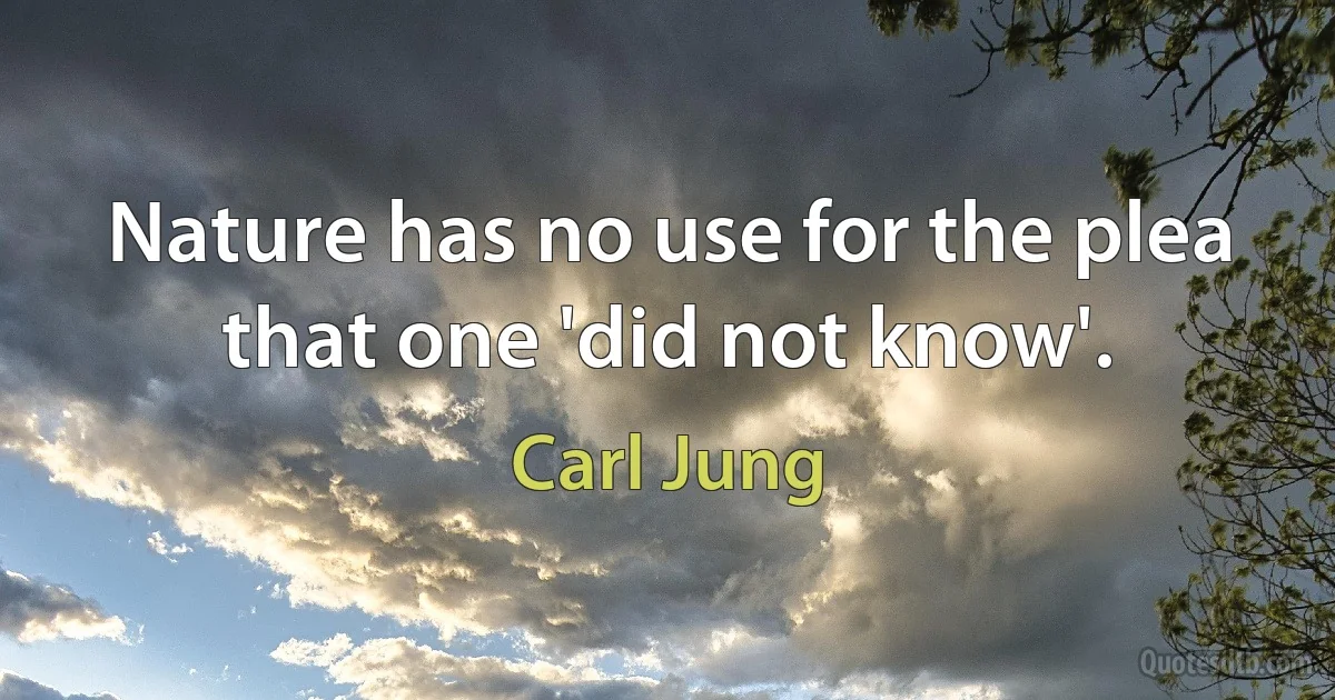 Nature has no use for the plea that one 'did not know'. (Carl Jung)