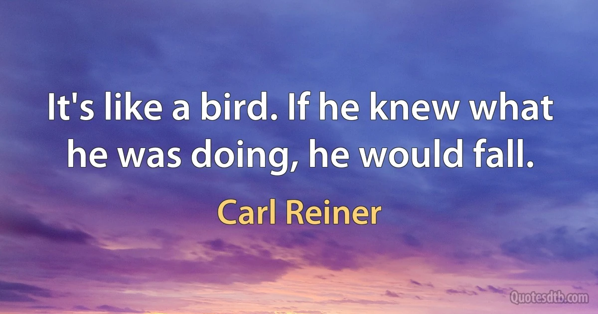 It's like a bird. If he knew what he was doing, he would fall. (Carl Reiner)