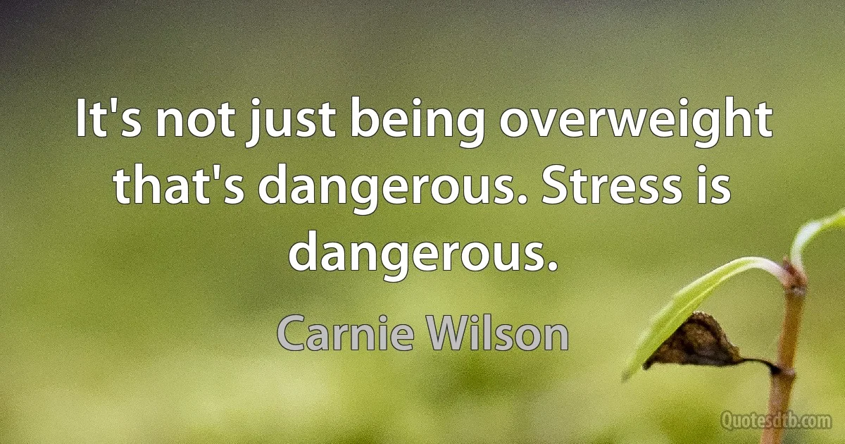 It's not just being overweight that's dangerous. Stress is dangerous. (Carnie Wilson)