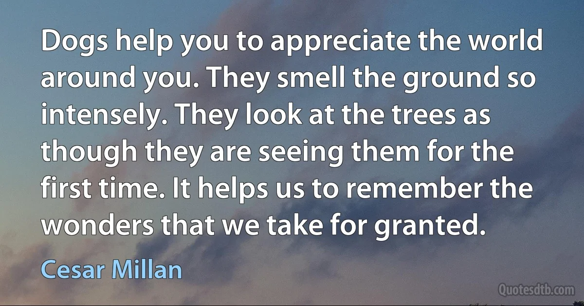 Dogs help you to appreciate the world around you. They smell the ground so intensely. They look at the trees as though they are seeing them for the first time. It helps us to remember the wonders that we take for granted. (Cesar Millan)