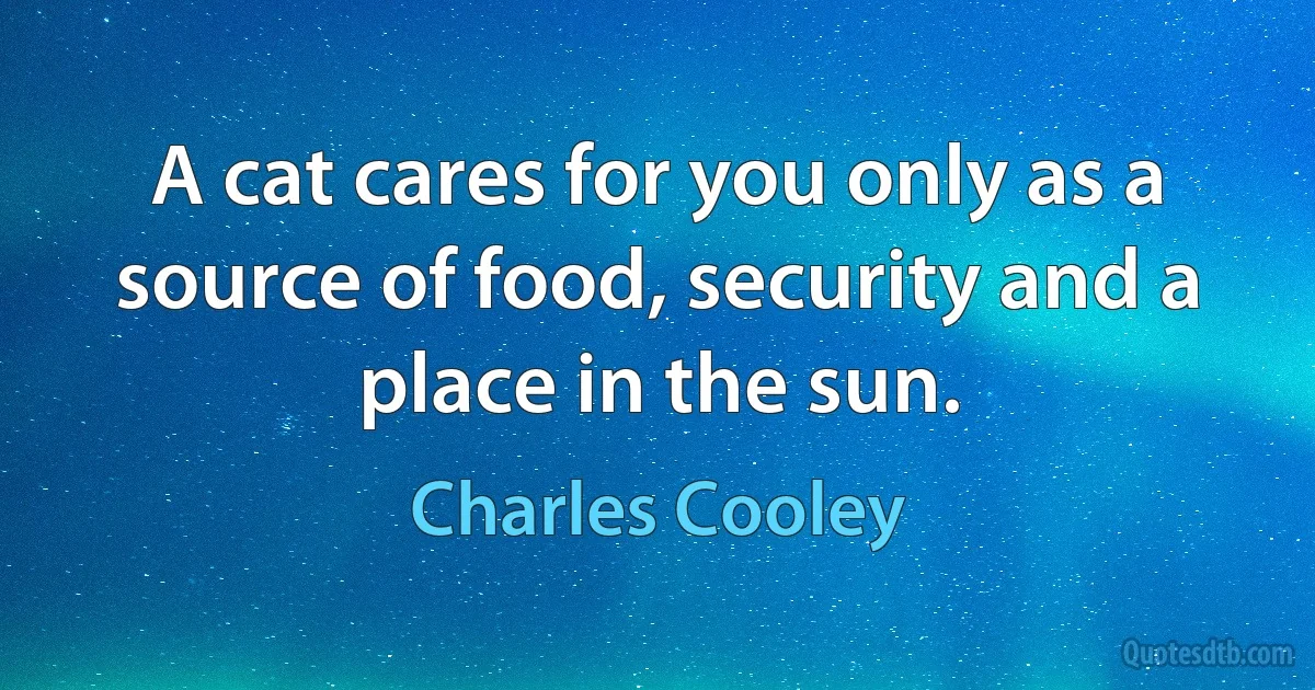 A cat cares for you only as a source of food, security and a place in the sun. (Charles Cooley)