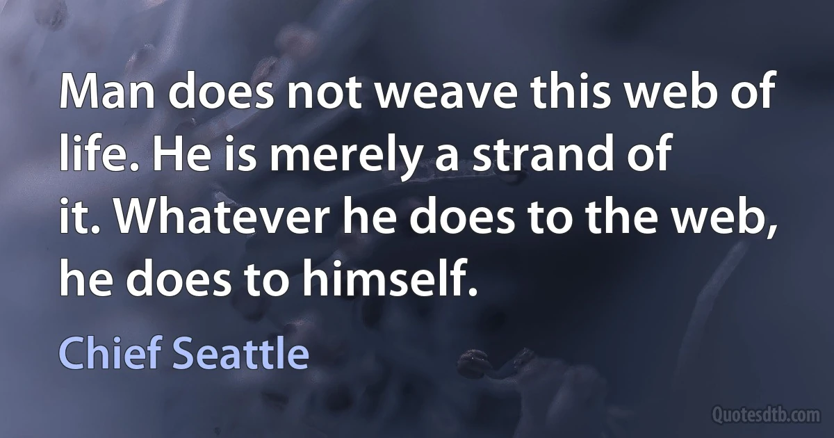 Man does not weave this web of life. He is merely a strand of it. Whatever he does to the web, he does to himself. (Chief Seattle)