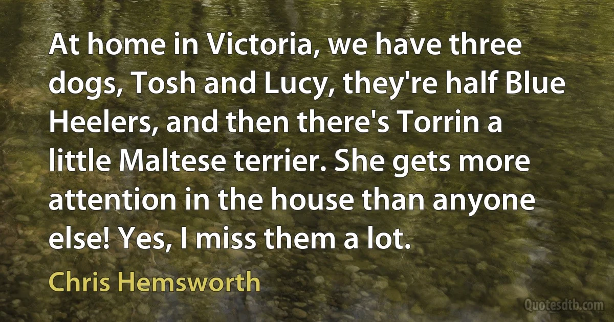 At home in Victoria, we have three dogs, Tosh and Lucy, they're half Blue Heelers, and then there's Torrin a little Maltese terrier. She gets more attention in the house than anyone else! Yes, I miss them a lot. (Chris Hemsworth)