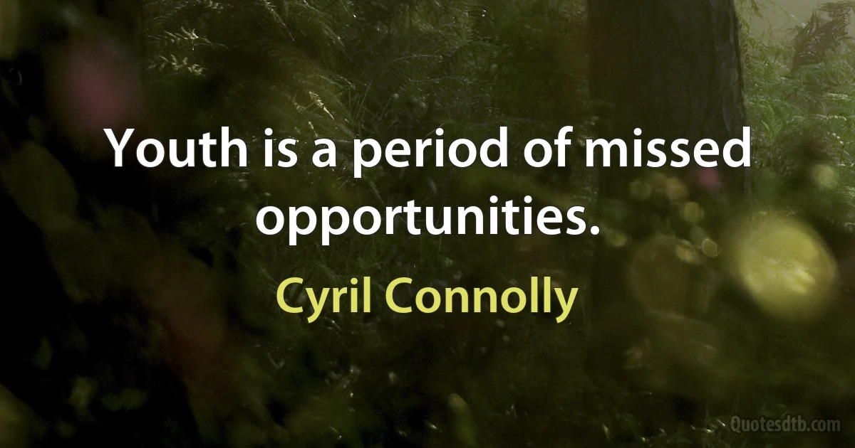 Youth is a period of missed opportunities. (Cyril Connolly)