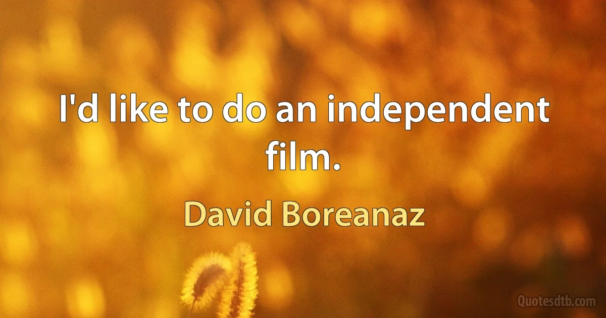 I'd like to do an independent film. (David Boreanaz)