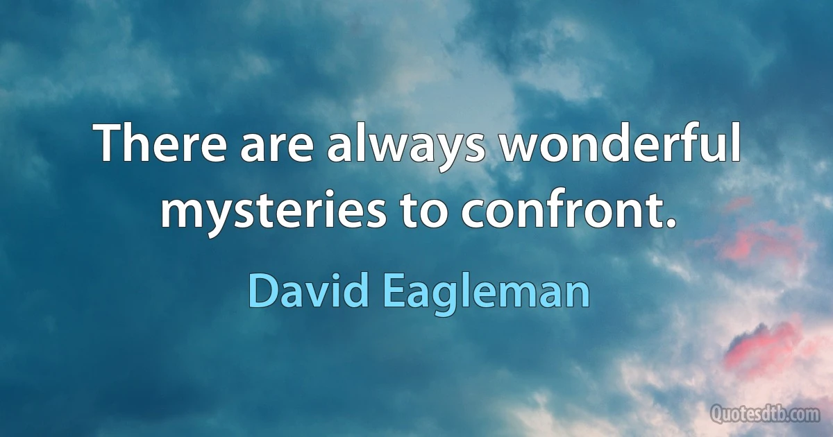 There are always wonderful mysteries to confront. (David Eagleman)