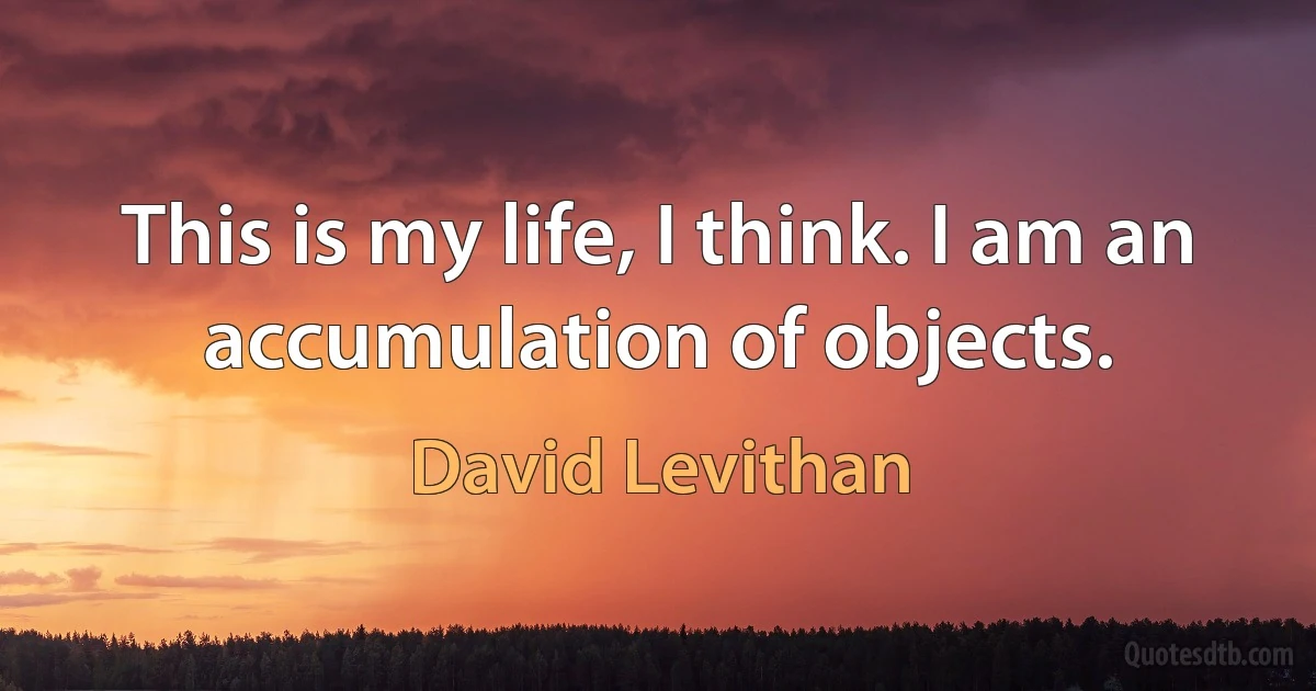 This is my life, I think. I am an accumulation of objects. (David Levithan)