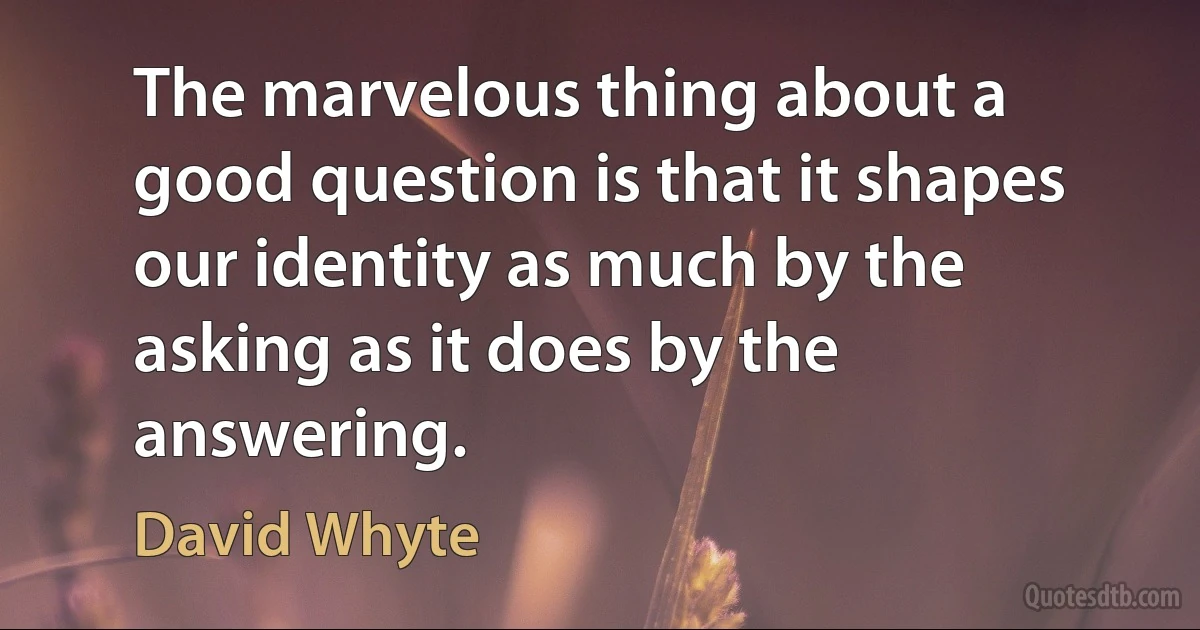 The marvelous thing about a good question is that it shapes our identity as much by the asking as it does by the answering. (David Whyte)