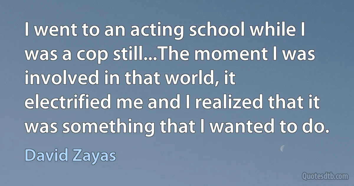 I went to an acting school while I was a cop still...The moment I was involved in that world, it electrified me and I realized that it was something that I wanted to do. (David Zayas)