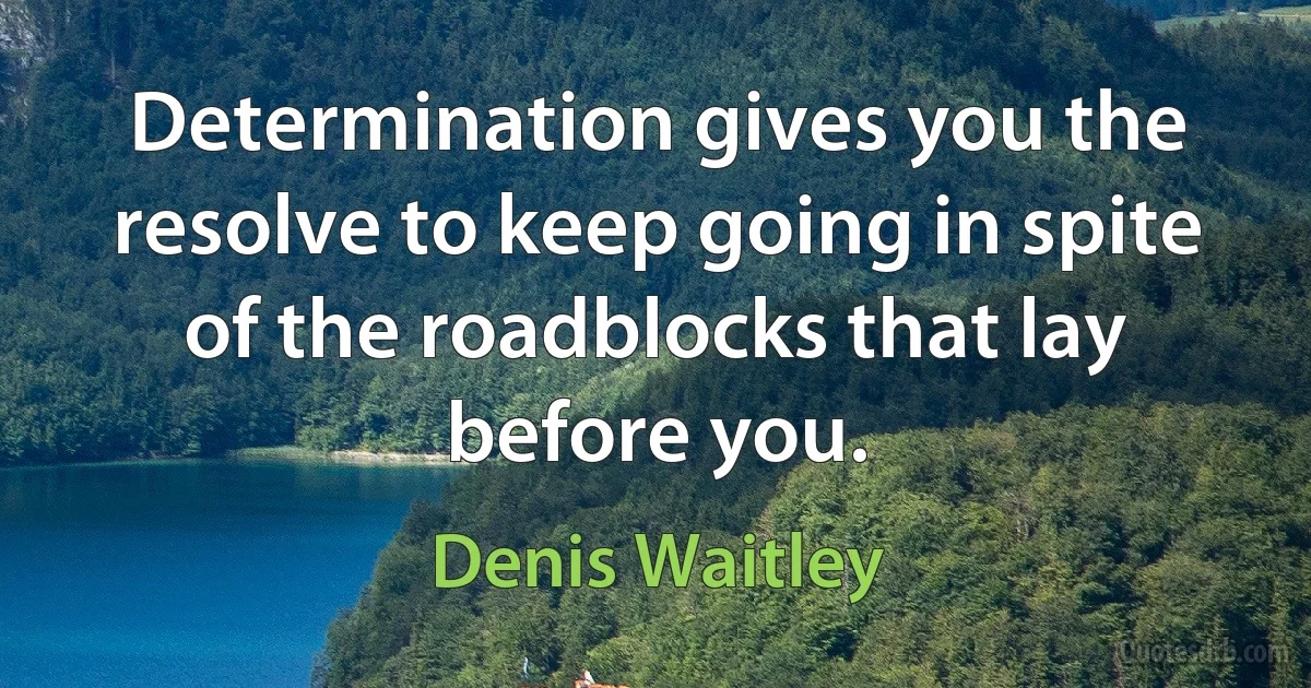 Determination gives you the resolve to keep going in spite of the roadblocks that lay before you. (Denis Waitley)