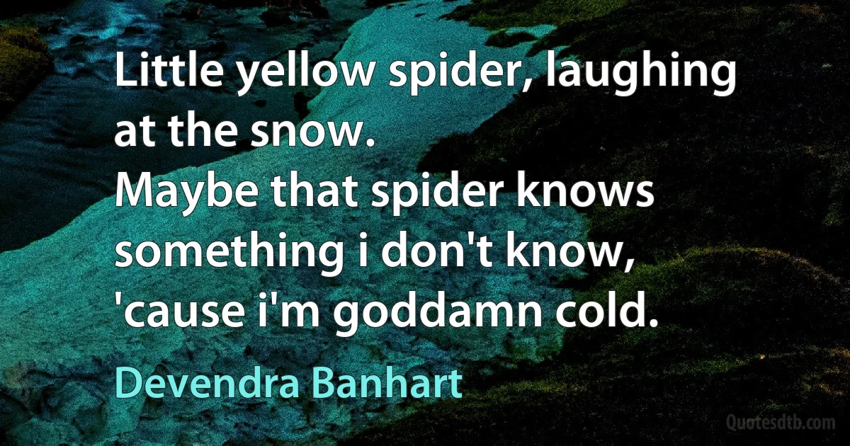 Little yellow spider, laughing at the snow.
Maybe that spider knows something i don't know,
'cause i'm goddamn cold. (Devendra Banhart)