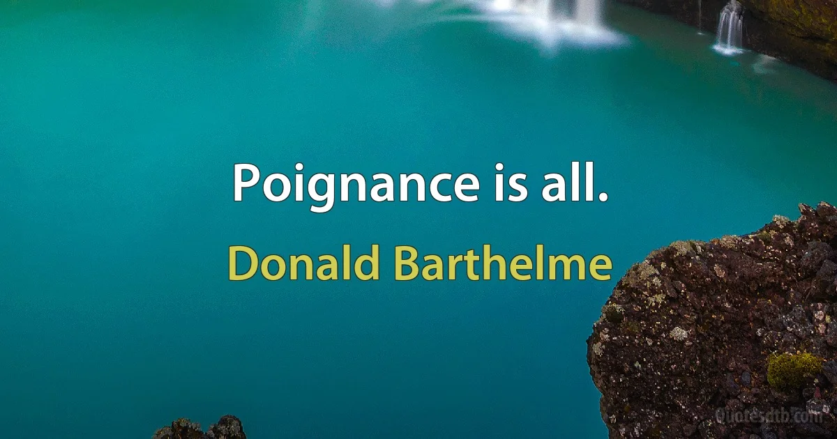 Poignance is all. (Donald Barthelme)