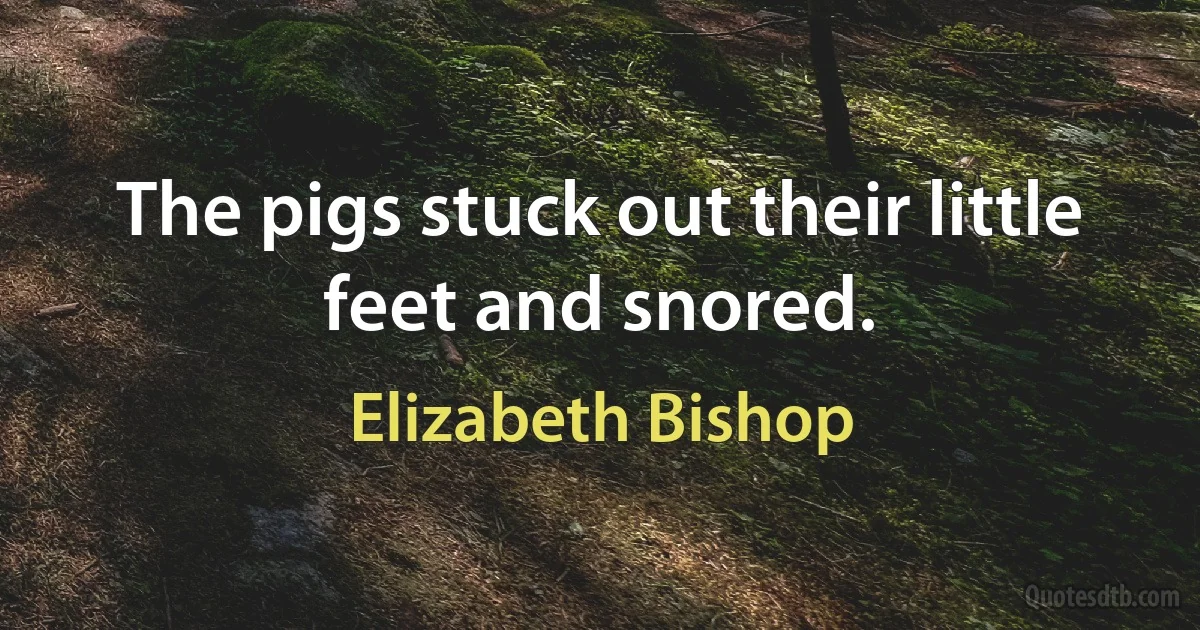 The pigs stuck out their little feet and snored. (Elizabeth Bishop)