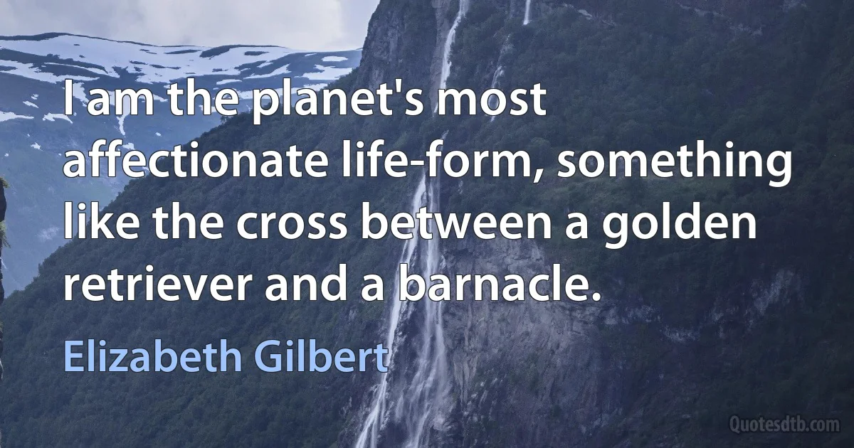 I am the planet's most affectionate life-form, something like the cross between a golden retriever and a barnacle. (Elizabeth Gilbert)