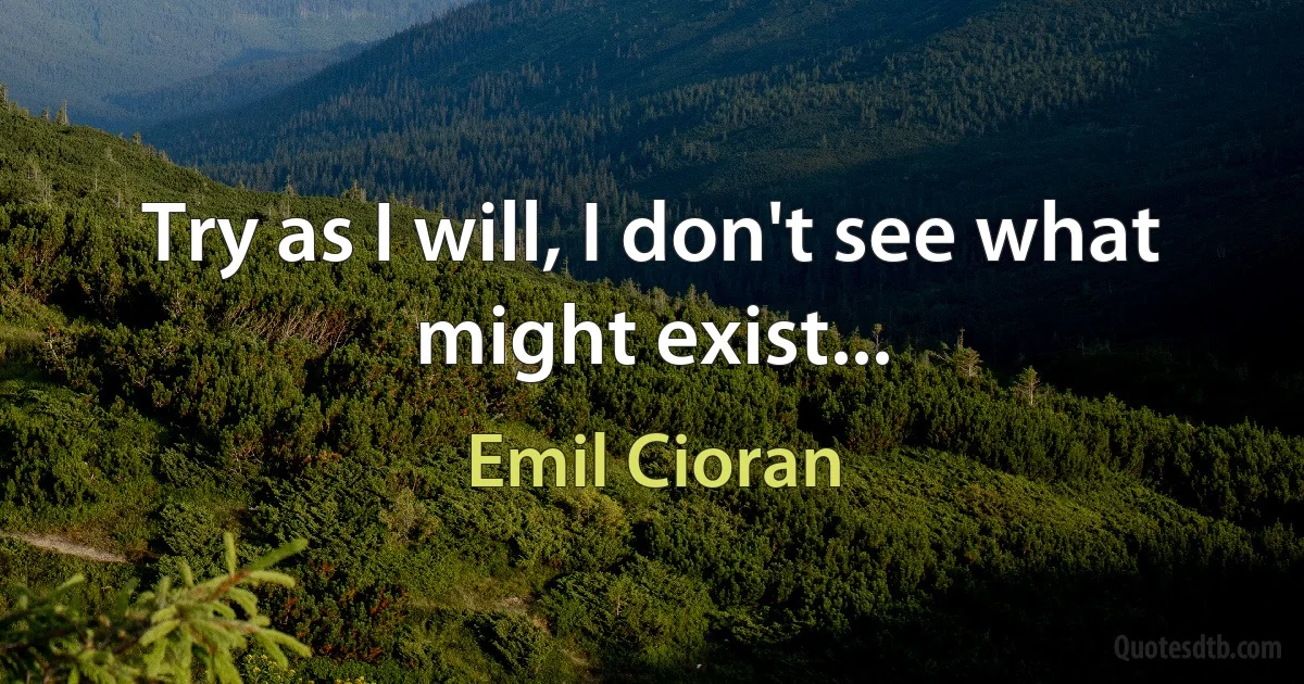 Try as I will, I don't see what might exist... (Emil Cioran)