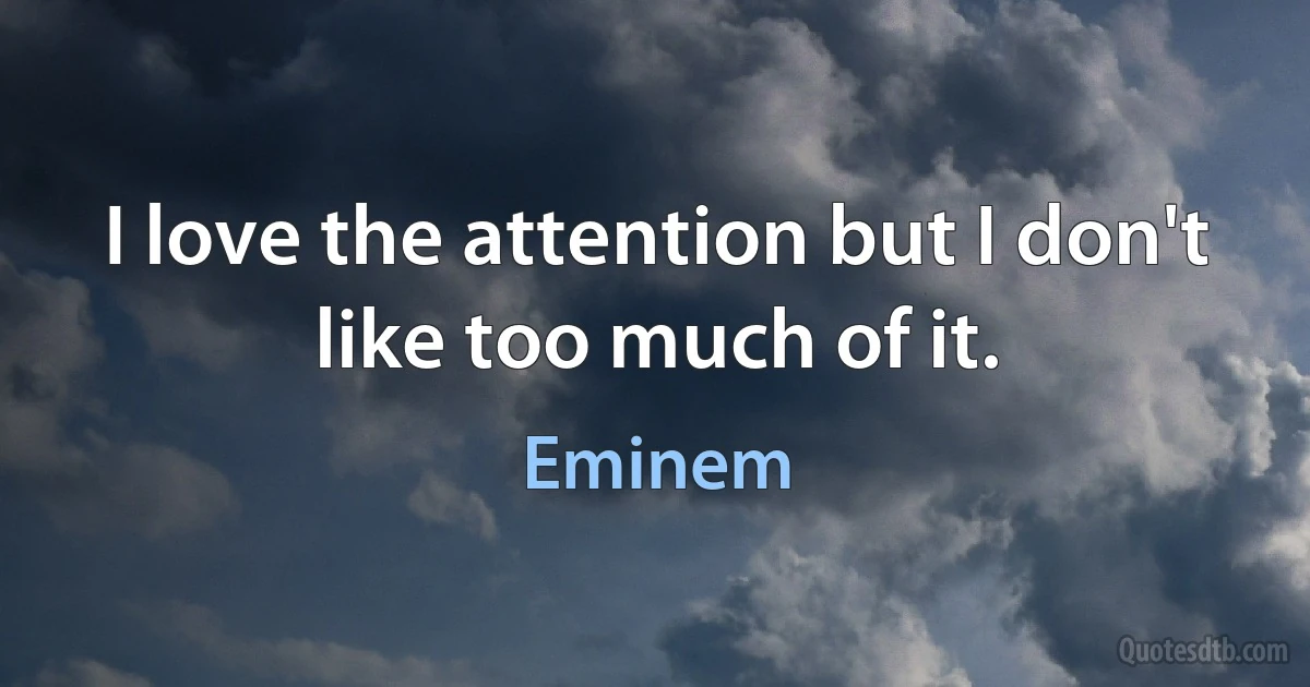 I love the attention but I don't like too much of it. (Eminem)