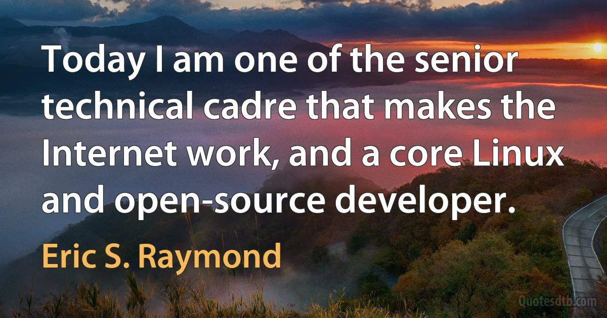 Today I am one of the senior technical cadre that makes the Internet work, and a core Linux and open-source developer. (Eric S. Raymond)