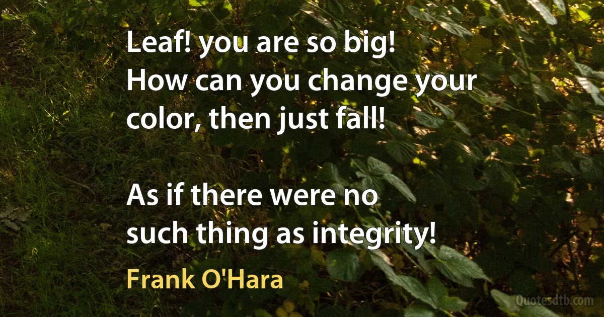 Leaf! you are so big!
How can you change your
color, then just fall!

As if there were no
such thing as integrity! (Frank O'Hara)