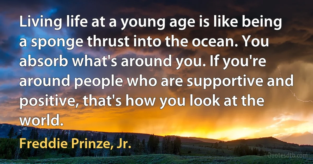 Living life at a young age is like being a sponge thrust into the ocean. You absorb what's around you. If you're around people who are supportive and positive, that's how you look at the world. (Freddie Prinze, Jr.)