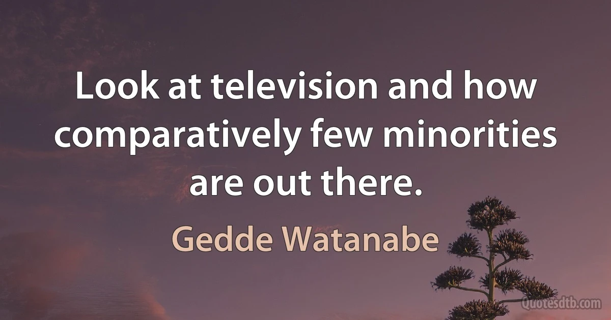 Look at television and how comparatively few minorities are out there. (Gedde Watanabe)