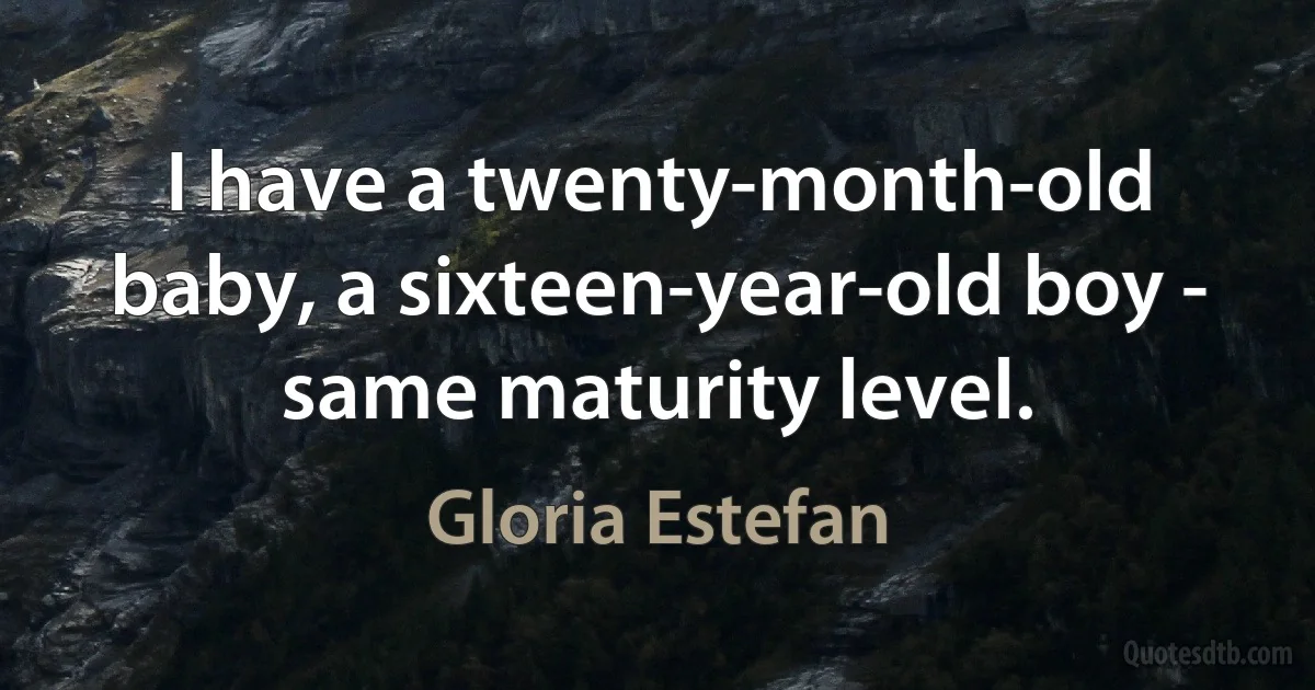 I have a twenty-month-old baby, a sixteen-year-old boy - same maturity level. (Gloria Estefan)